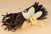Milk Shake/pudding/Mousse Vanille